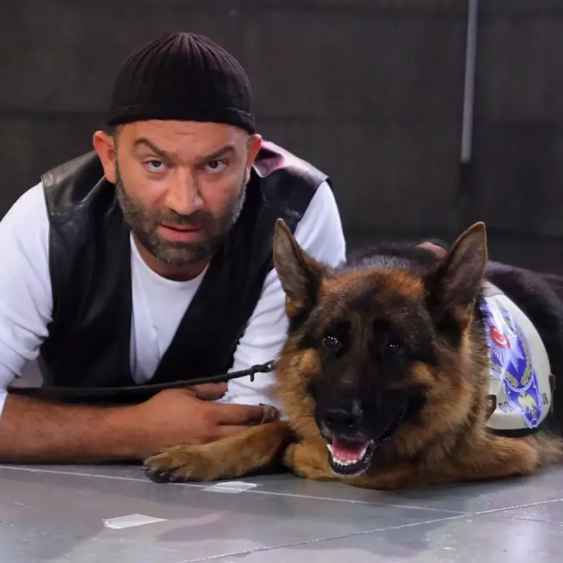 “Mesut” “Arka sokaklar”a qayıdır?