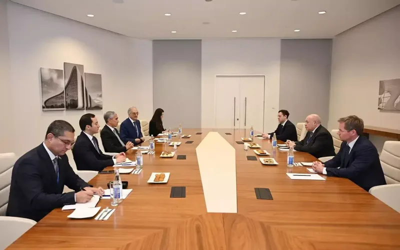 Mixail Şvıdkoy Anar Ələkbərovla görüşdü