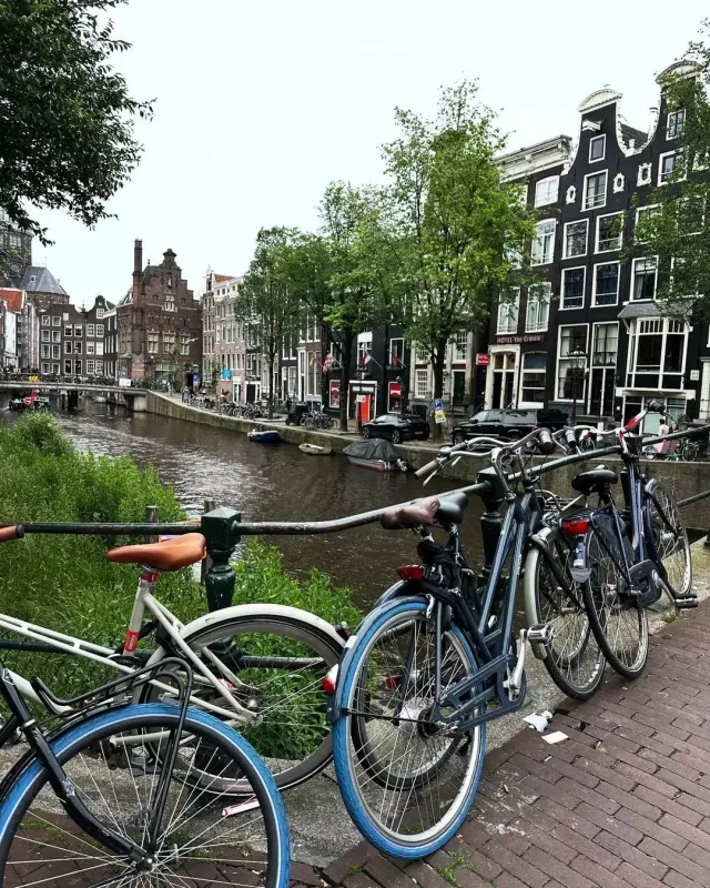 Tunarın Almaniya gəzintisi