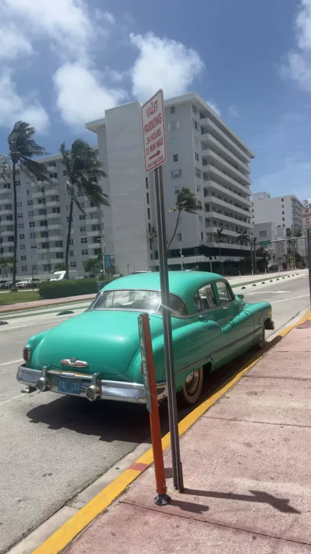 Aynişanla Nəcibənin Mayami macəraları