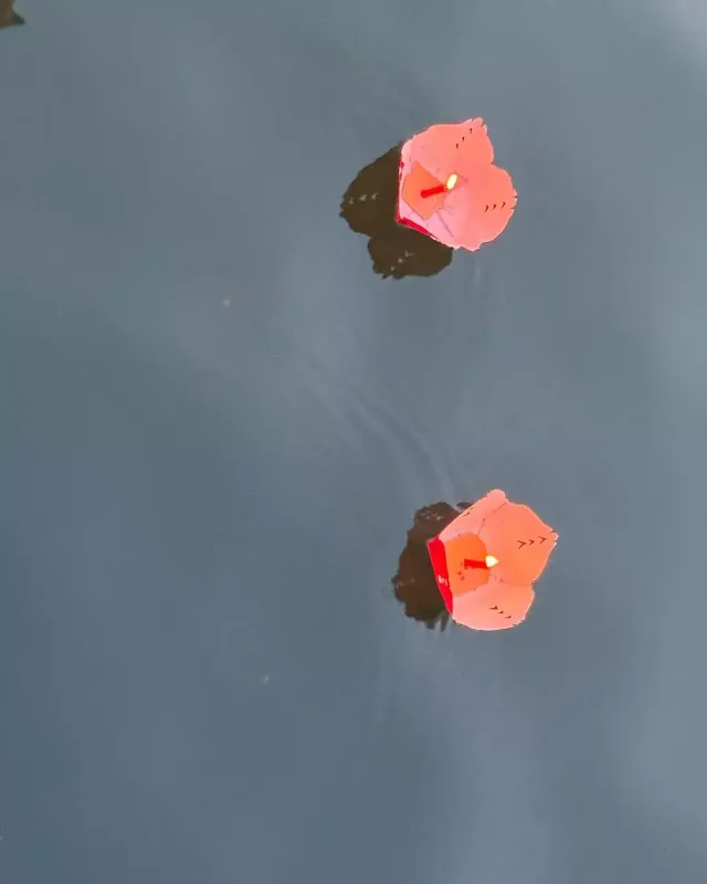 Nanənin Vietnam tətilindən qalan fotolar