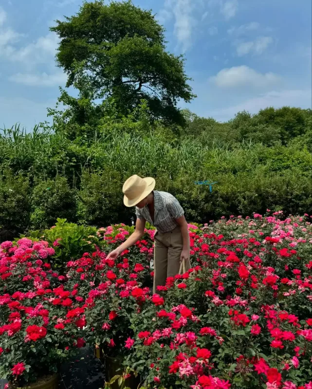 CeyLo güllər içində