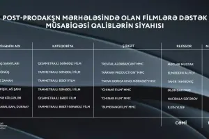 Nazirlik kino müsabiqəsinin nəticələrini açıqladı