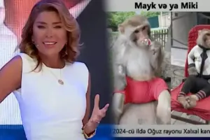 Xoşqədəm Hidayətqızı efirdə meymun axtarır