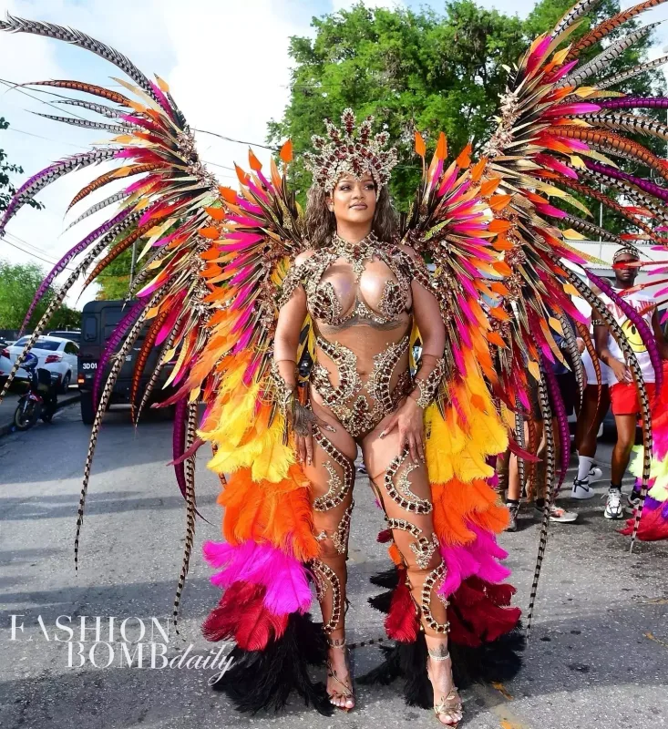 Rihannanın karnaval tərzi bəyənilmədi