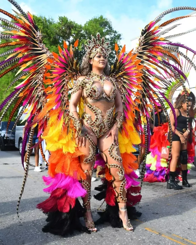 Rihannanın karnaval tərzi bəyənilmədi