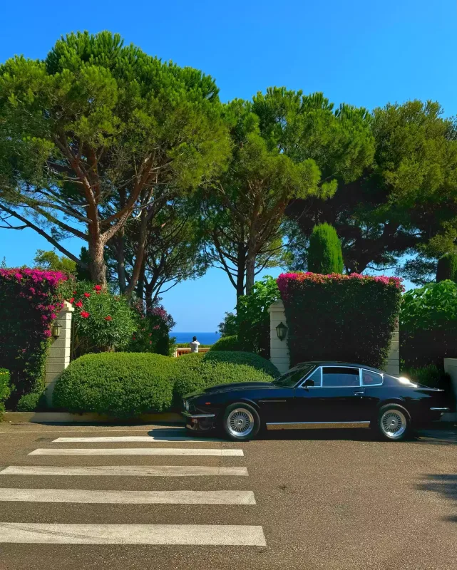 Mehinin Monte-Karlo paylaşımları