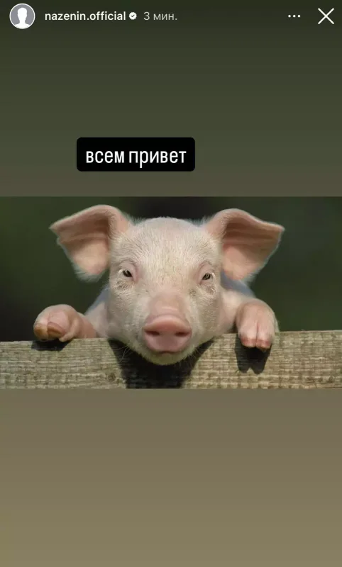 Nazəninin instaqramını oğurladılar