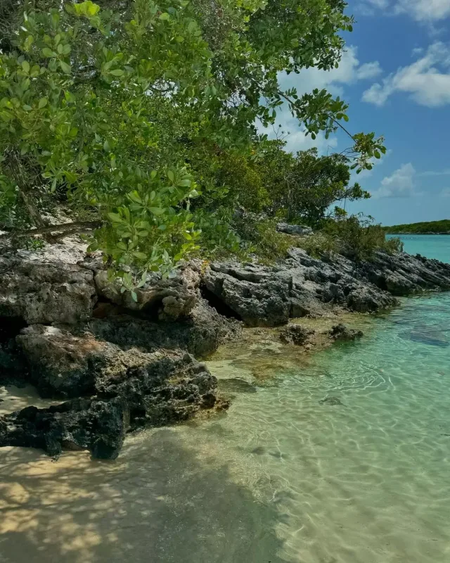 Kayli Cenner 27 yaşını belə qeyd etdi