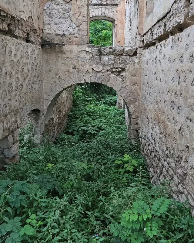 “Anamı nəvələriylə əcdadlarımızın yurduna gətirdim”