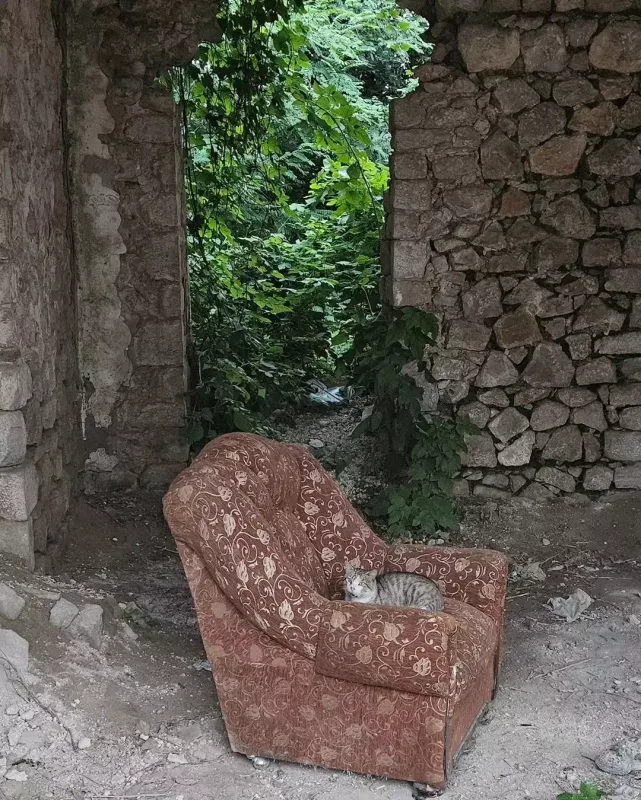 “Anamı nəvələriylə əcdadlarımızın yurduna gətirdim”