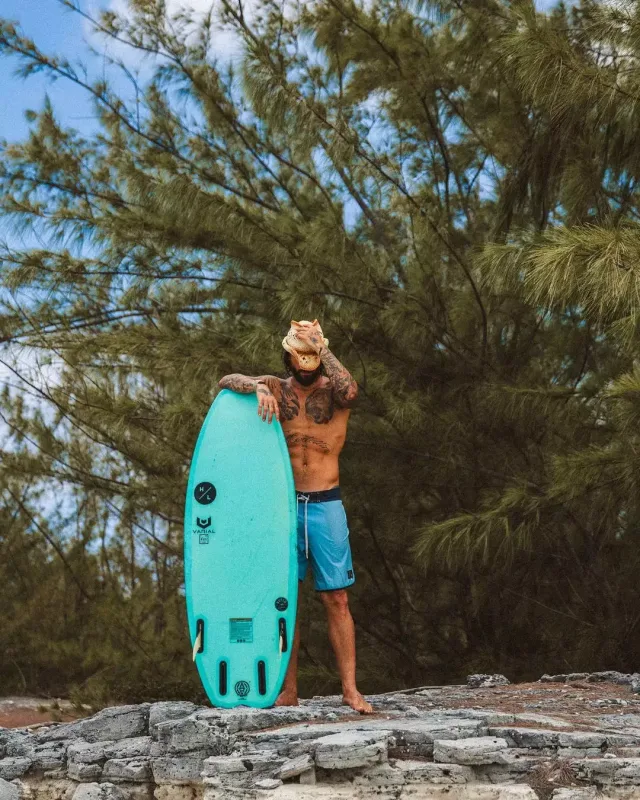 Malumanın sörfinq macərası