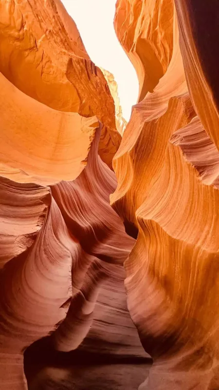 “Dəyirman”ın Elmiri ailəsi ilə ABŞ-də