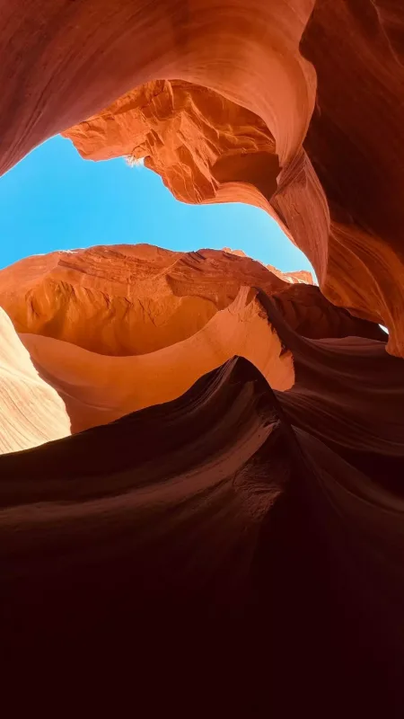 “Dəyirman”ın Elmiri ailəsi ilə ABŞ-də