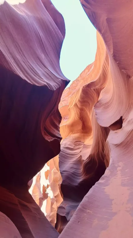 “Dəyirman”ın Elmiri ailəsi ilə ABŞ-də