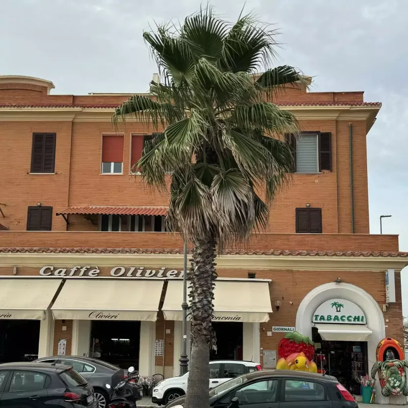 Tətildədir, amma geri dönür!