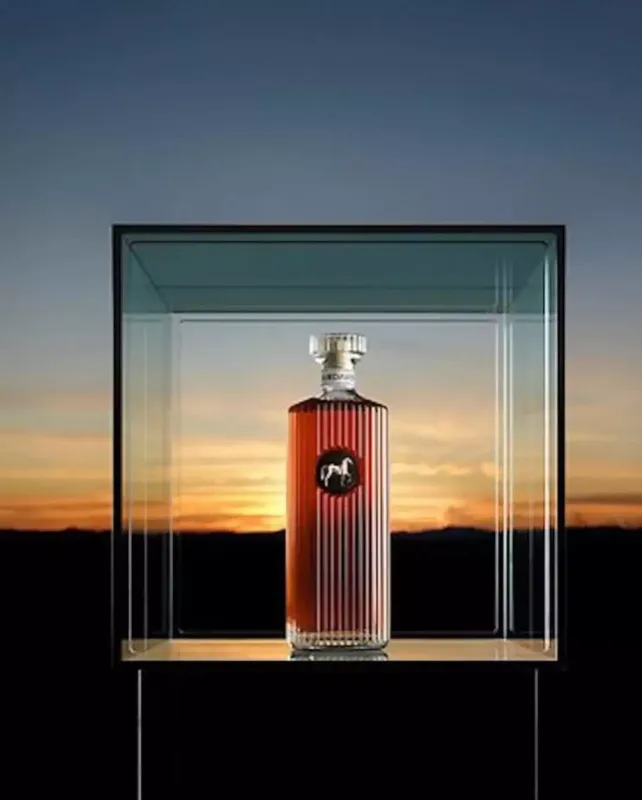 Beyons alkoqol brendi yaradır