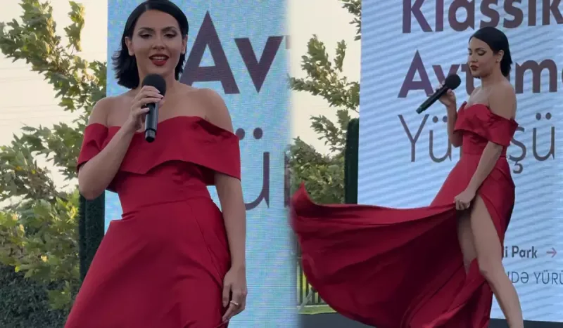 Aiselin səhnədə çətin anları