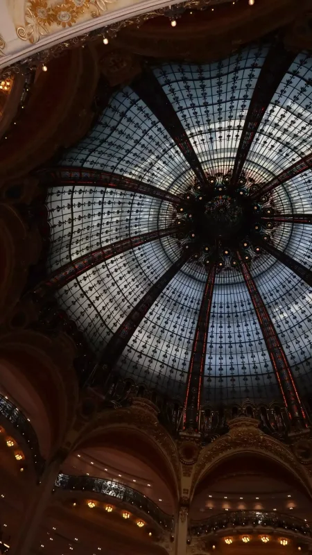 Aynişan yenə Parisdə