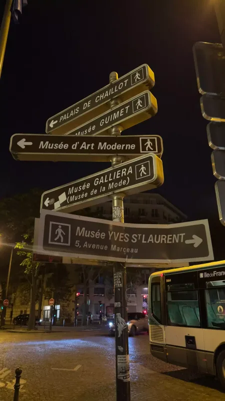 Aynişan yenə Parisdə