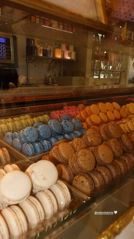 Aynişan yenə Parisdə