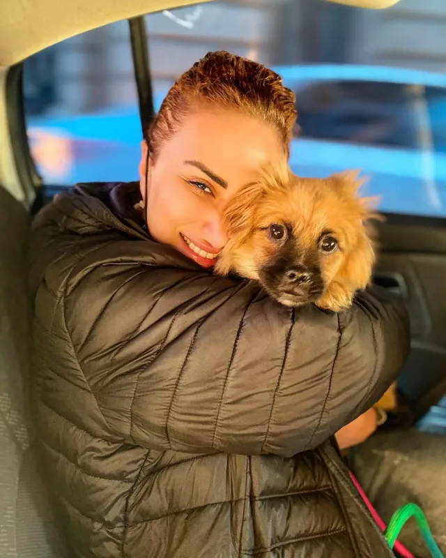 Təranə kassasiya şikayəti verdi