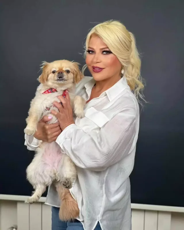 Mətanət yenə kökəldi