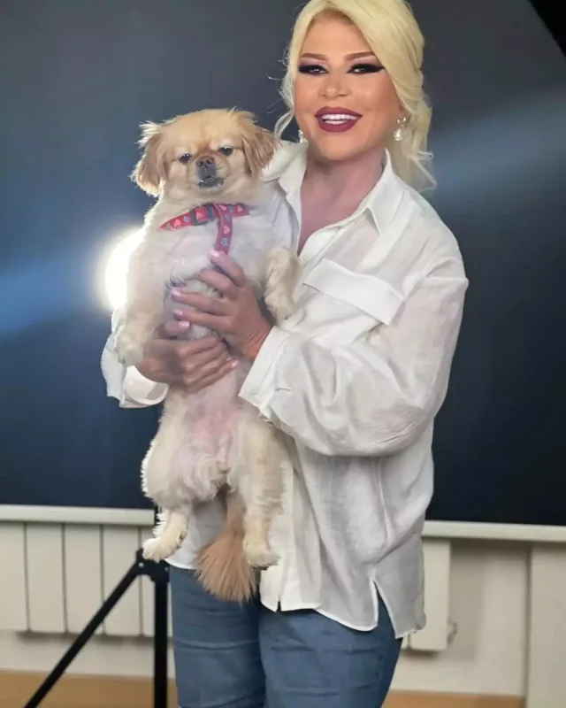 Mətanət yenə kökəldi