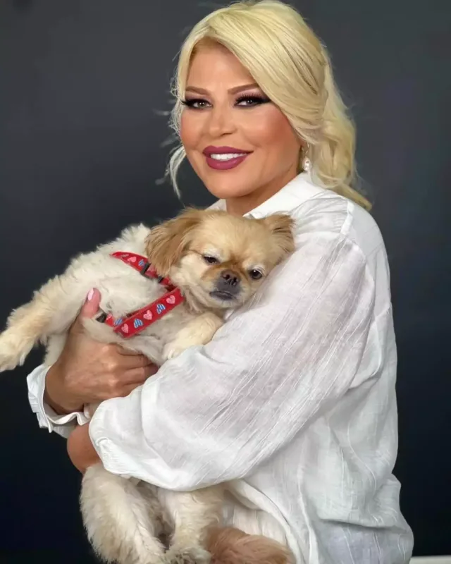 Mətanət yenə kökəldi