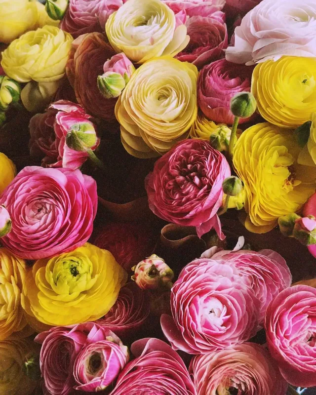 “Avqust mənim üçün çətin bir ay oldu”