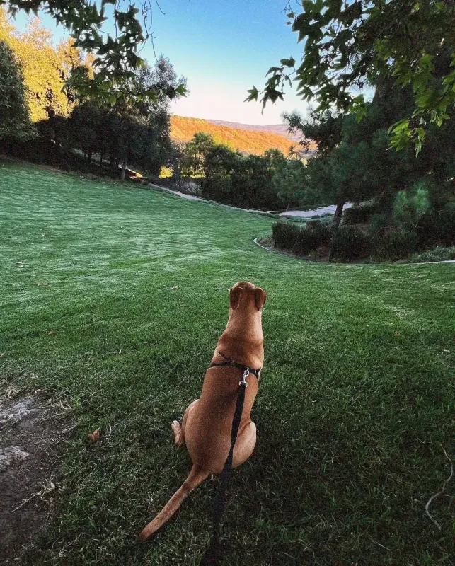 “Avqust mənim üçün çətin bir ay oldu”