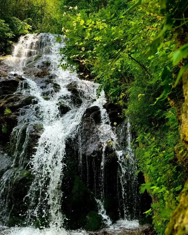 “Həyatımda belə gözəl yerlər görməmişdim”