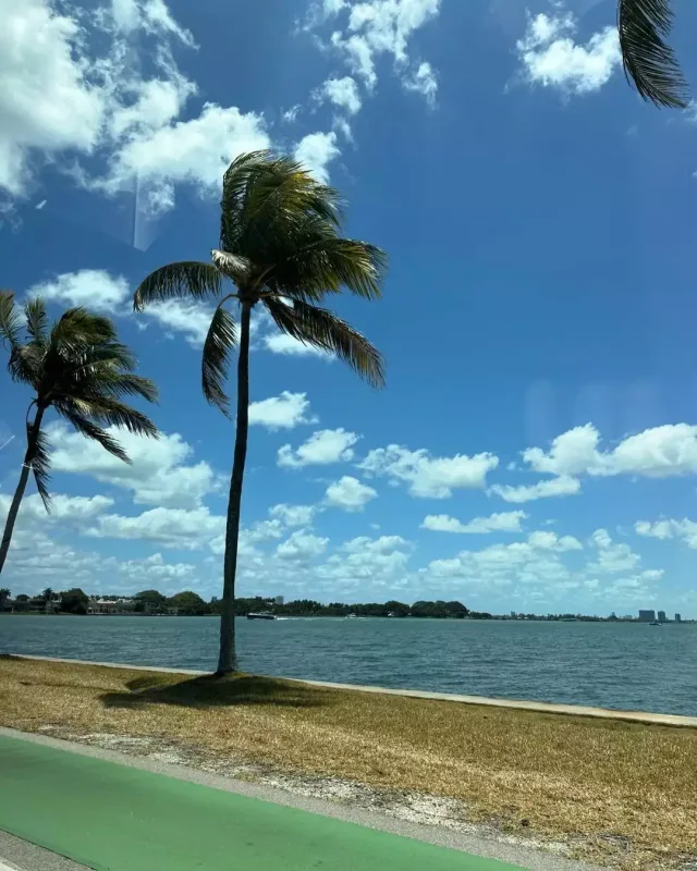 “Manhettandan qaçıb Mayamiyə gəlmiş adamam”