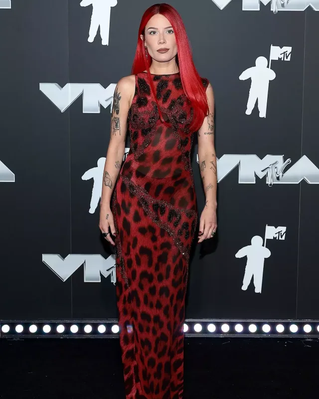 “MTV”nin gecəsinə belə gəldilər!