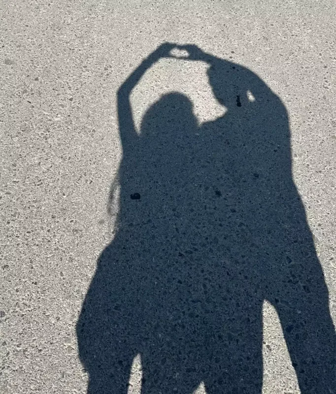 Dilan əvvəlki həyatına qayıtdı