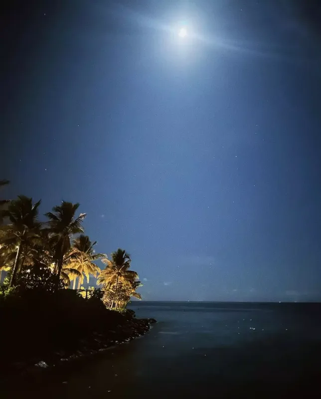 Conidən hovuzda yarıçılpaq fotolar