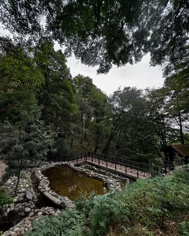 Safura həyat yoldaşı ilə Şuşada