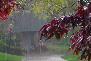 Leysan yağacaq, şimşək çaxacaq - Xəbərdarlıq