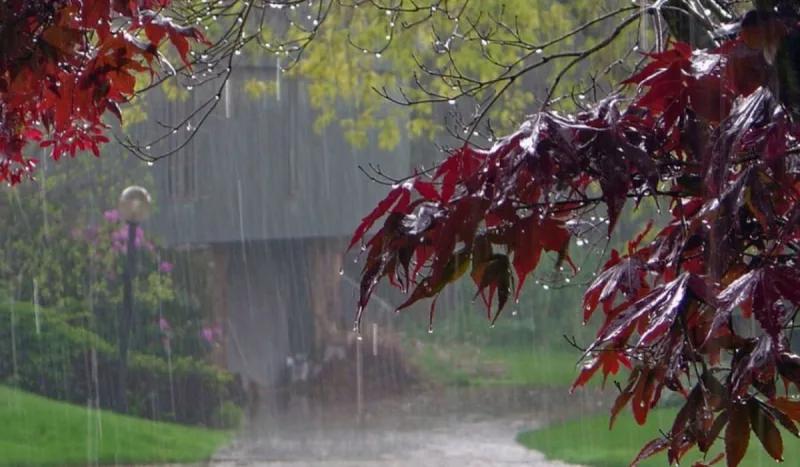 Leysan yağacaq, şimşək çaxacaq - Xəbərdarlıq