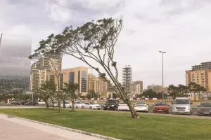 Şənbə gününün havası