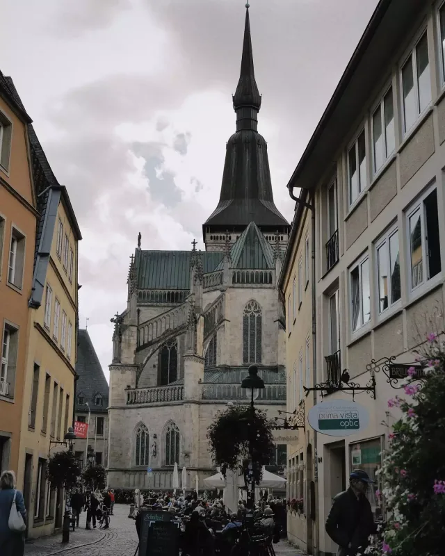 Coninin payız səfəri