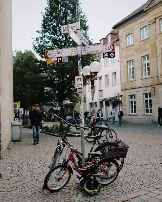 Coninin payız səfəri