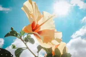 Sabah 30 dərəcə isti olacaq!