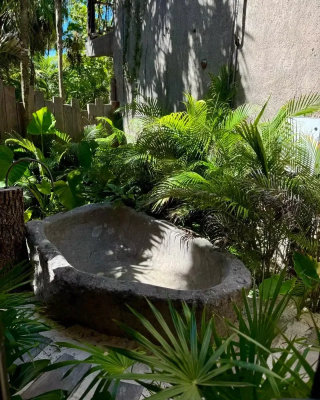 Günay Meksikaya buna görə gedibmiş