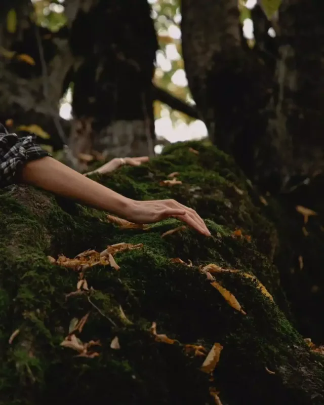 Leyla Əliyeva Qəbələdən paylaşım etdi