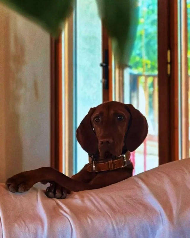 Bakıdan öncə tətil!