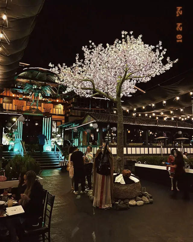 Doğum gününü əri ilə Los Ancelesdə qeyd etdi