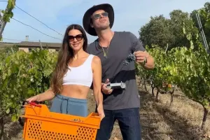 Ad günündə üzüm yığdı