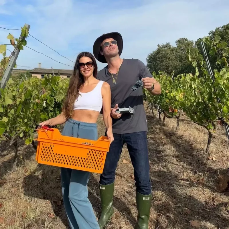 Ad günündə üzüm yığdı