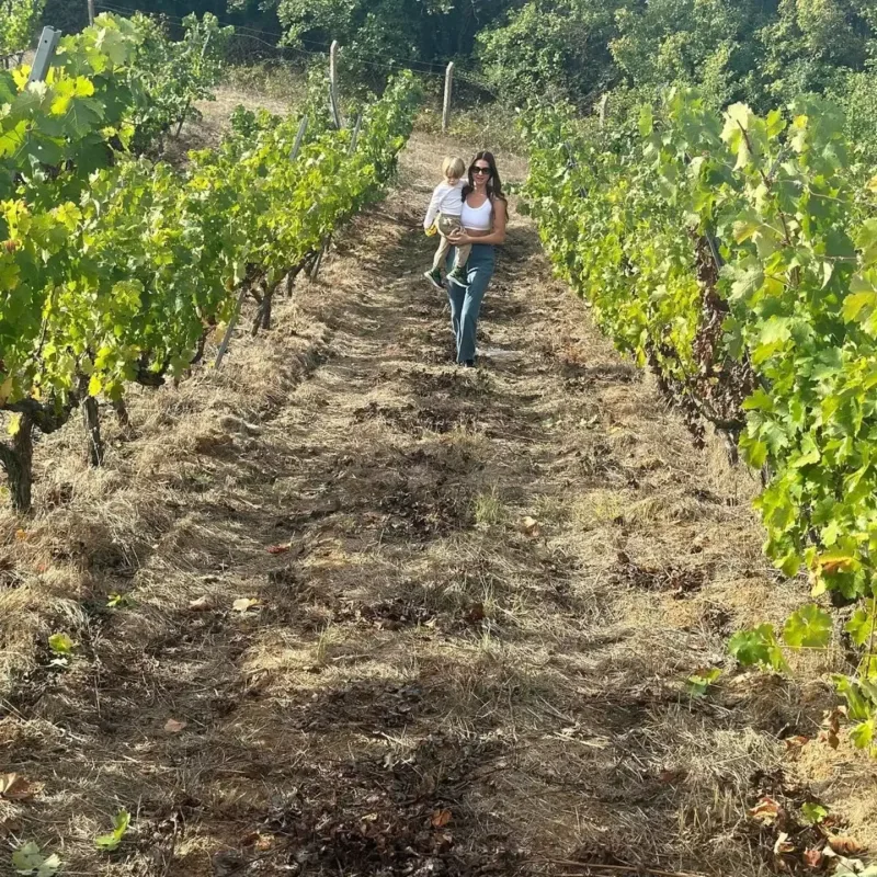 Ad günündə üzüm yığdı